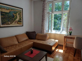 Classy and cozy near Tasmajdan park and Flower Piazza
